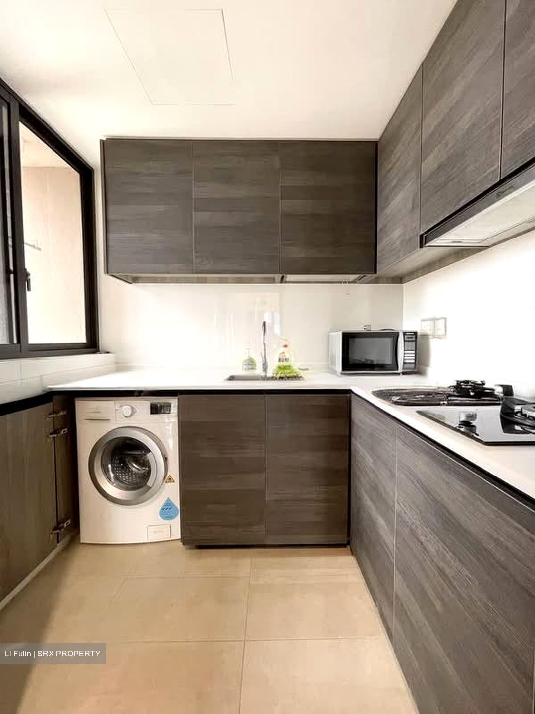 Sims Urban Oasis (D14), Condominium #563705041